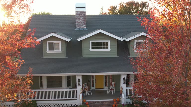 Best Roof Moss and Algae Removal  in Matamoras, OH