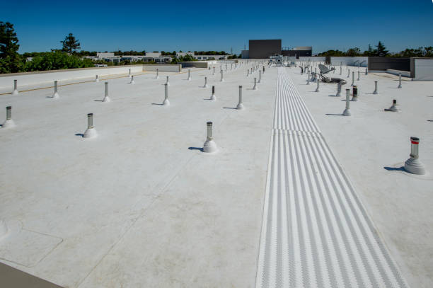 Best Roof Insulation Installation  in Matamoras, OH